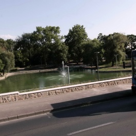 Cabriobusz