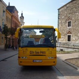 Cabriobusz